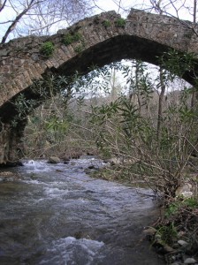 The Bridge at Mahia