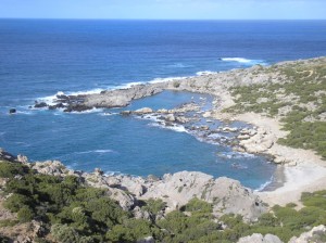 A View of Vienna Beach