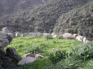 vlithias-aloni Vlithias Aloni - Threshing circle