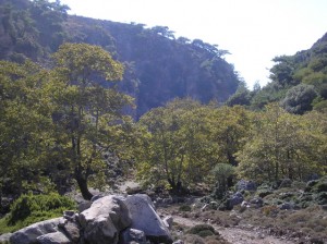 spina-gorge Looking along Spina Gorge