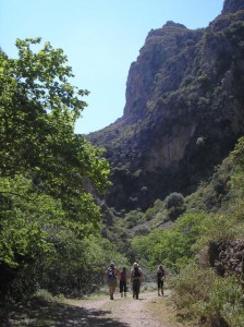 Walking the gorge path