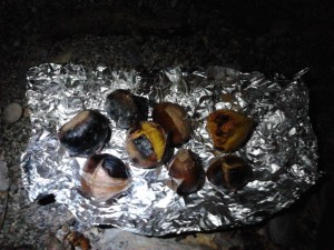 Chestnuts roasting ...