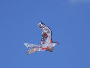 Grameno kite