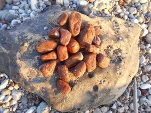 Red beach stones